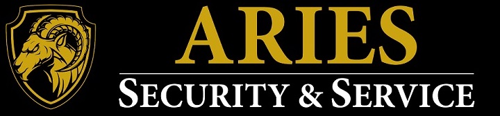 Aries Security Group